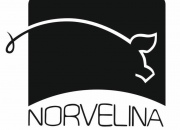 Norvelina